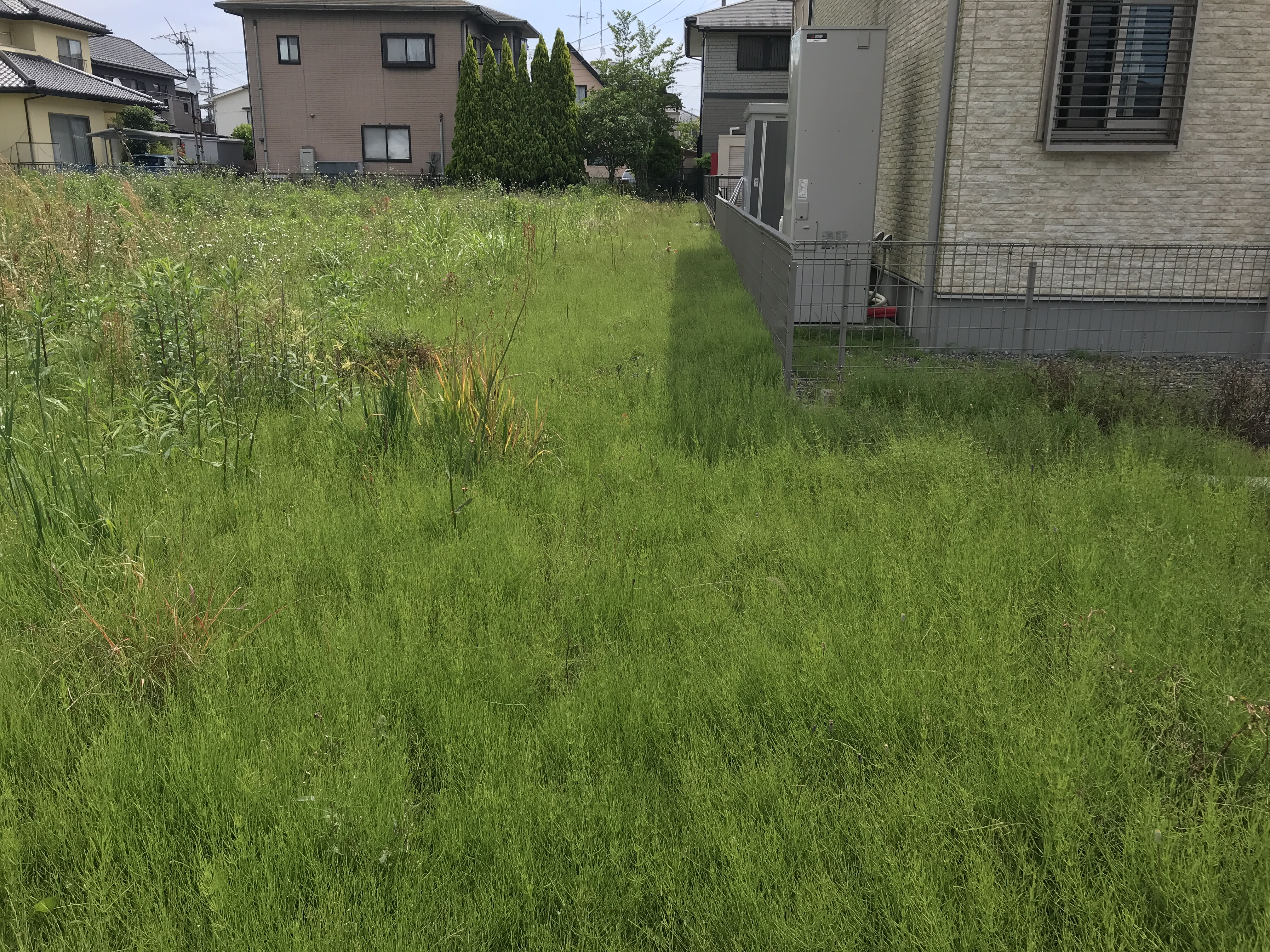 土地の活用方法とアドバイス