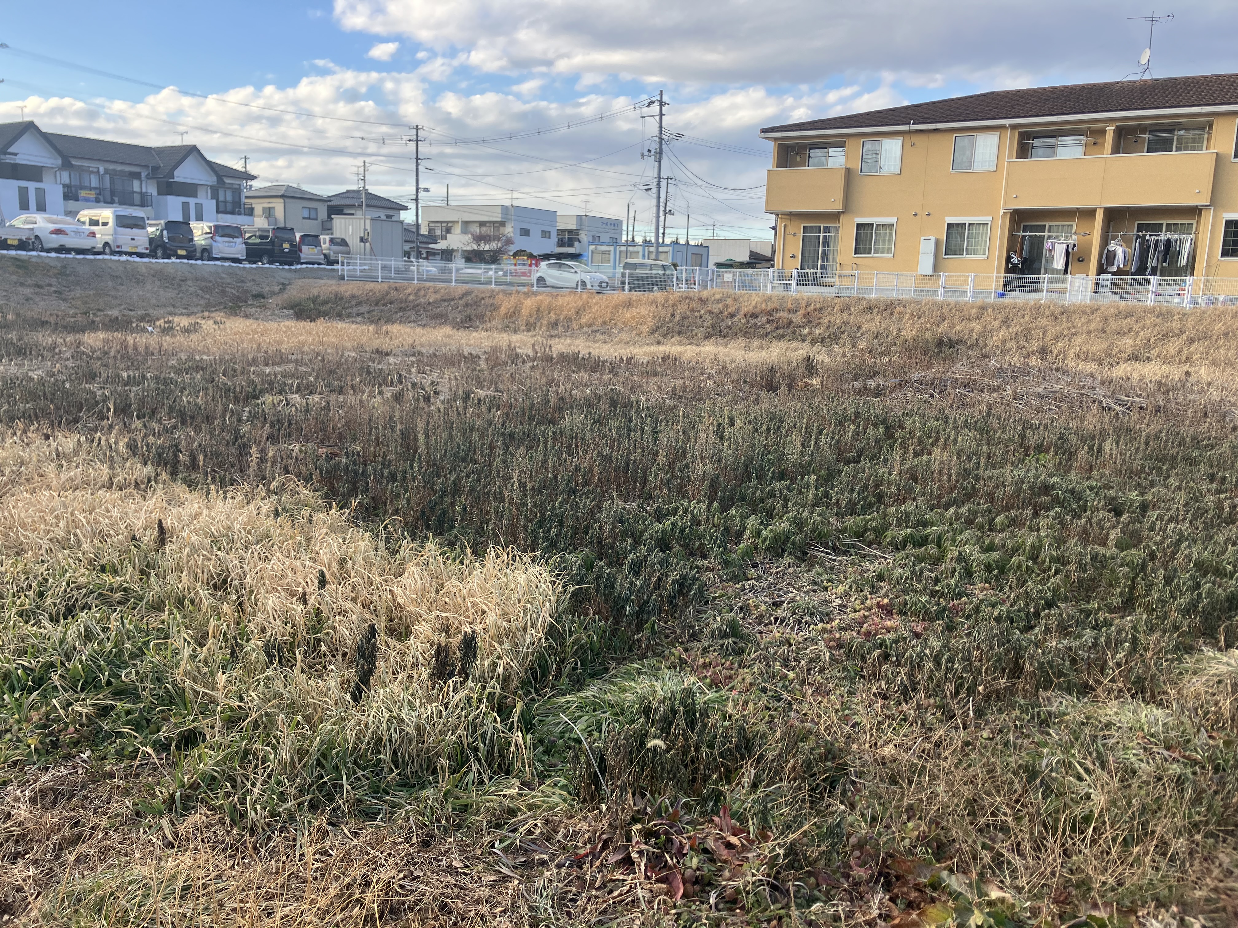 売却しやすい土地